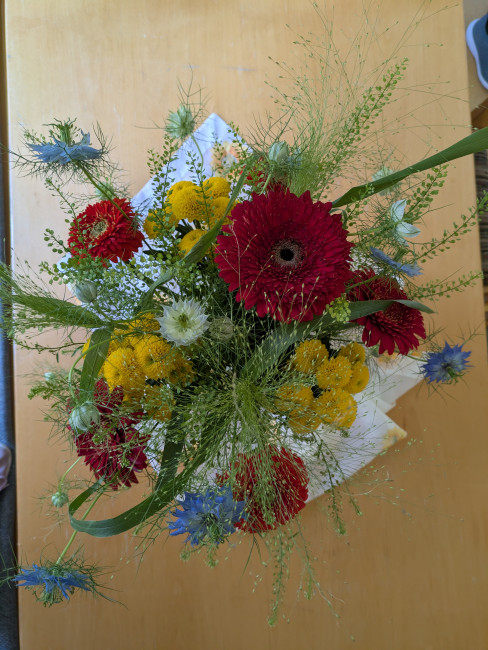 Blumen Vier-Farben-Land